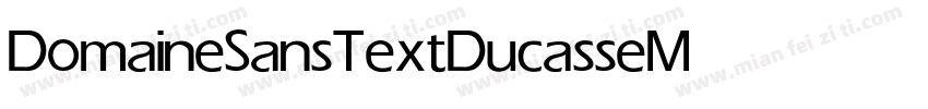 DomaineSansTextDucasse Medium字体转换